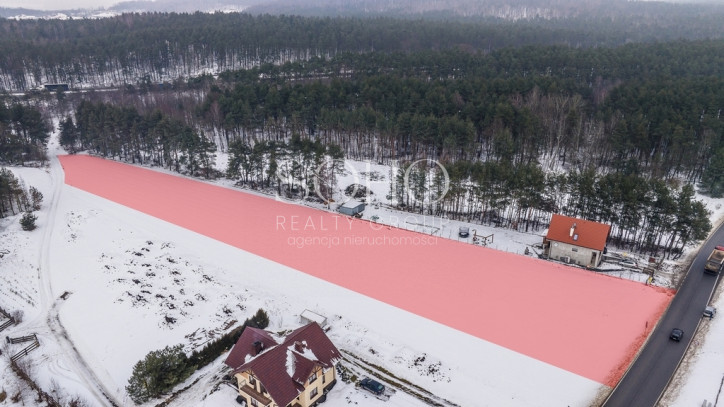 Działka Sprzedaż Zalas 4